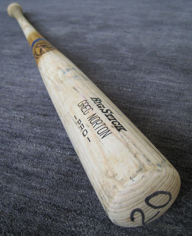 greg_norton_bat2.jpg