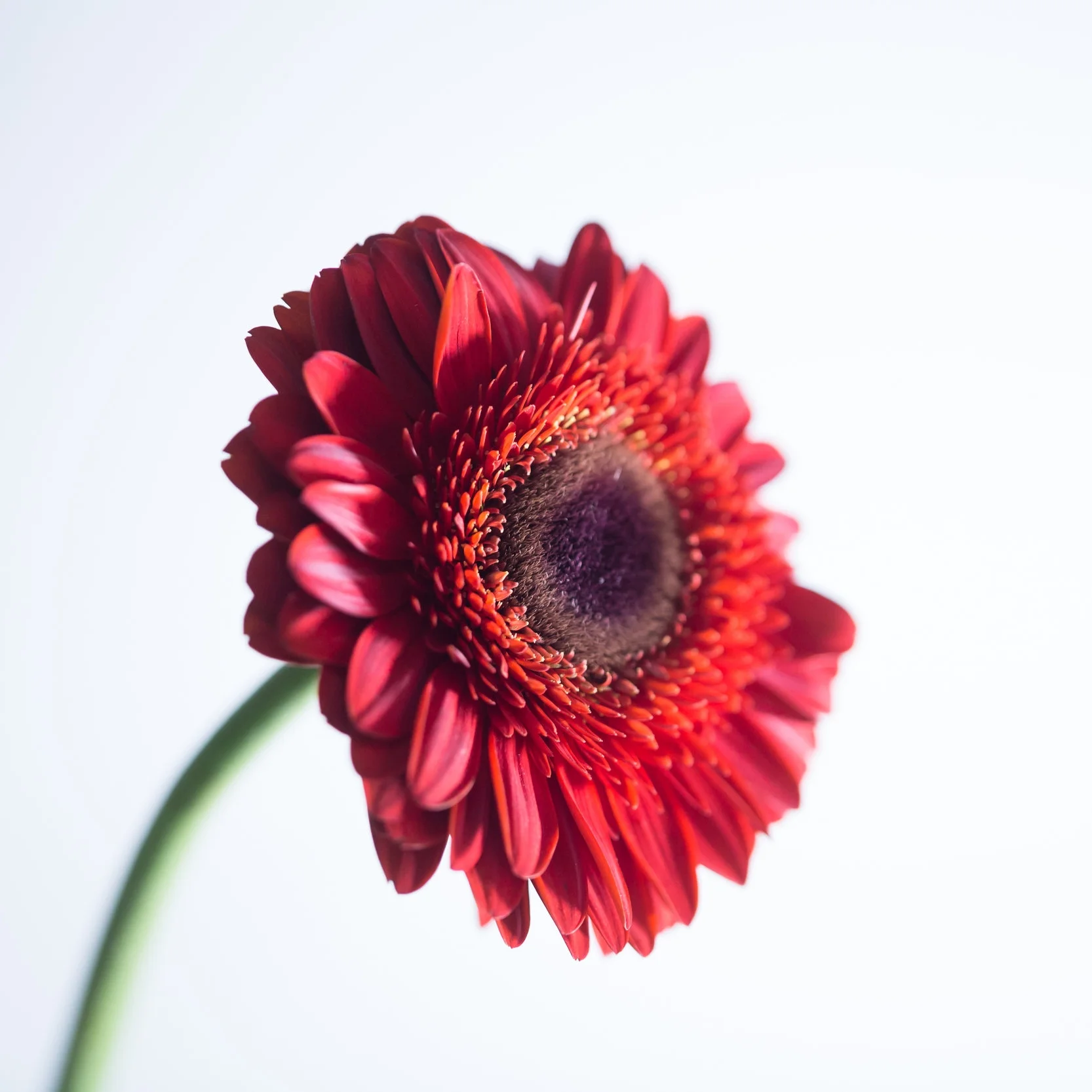 iStock-642502122.jpg