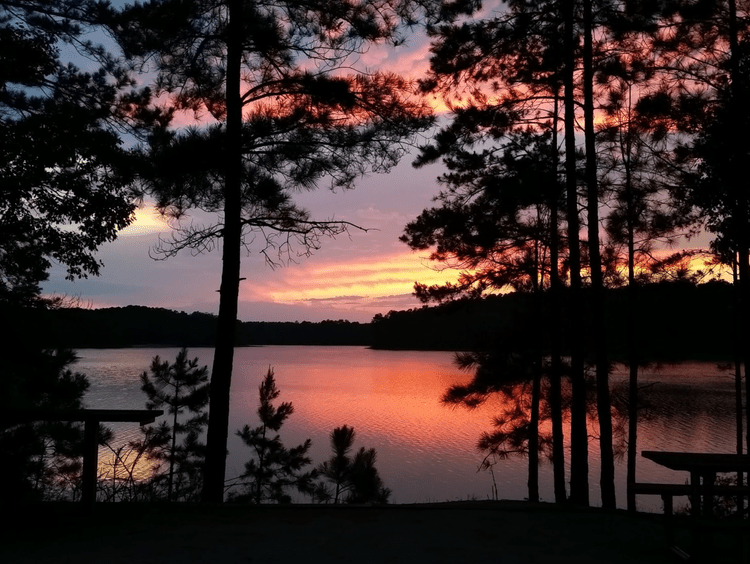 Plan a Camping Getaway to Clarks Hill Lake — Visit Thomson, GA