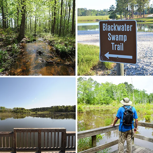 9 Things To Do In Thomson, — Visit Thomson, GA