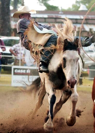 rodeo1.jpg