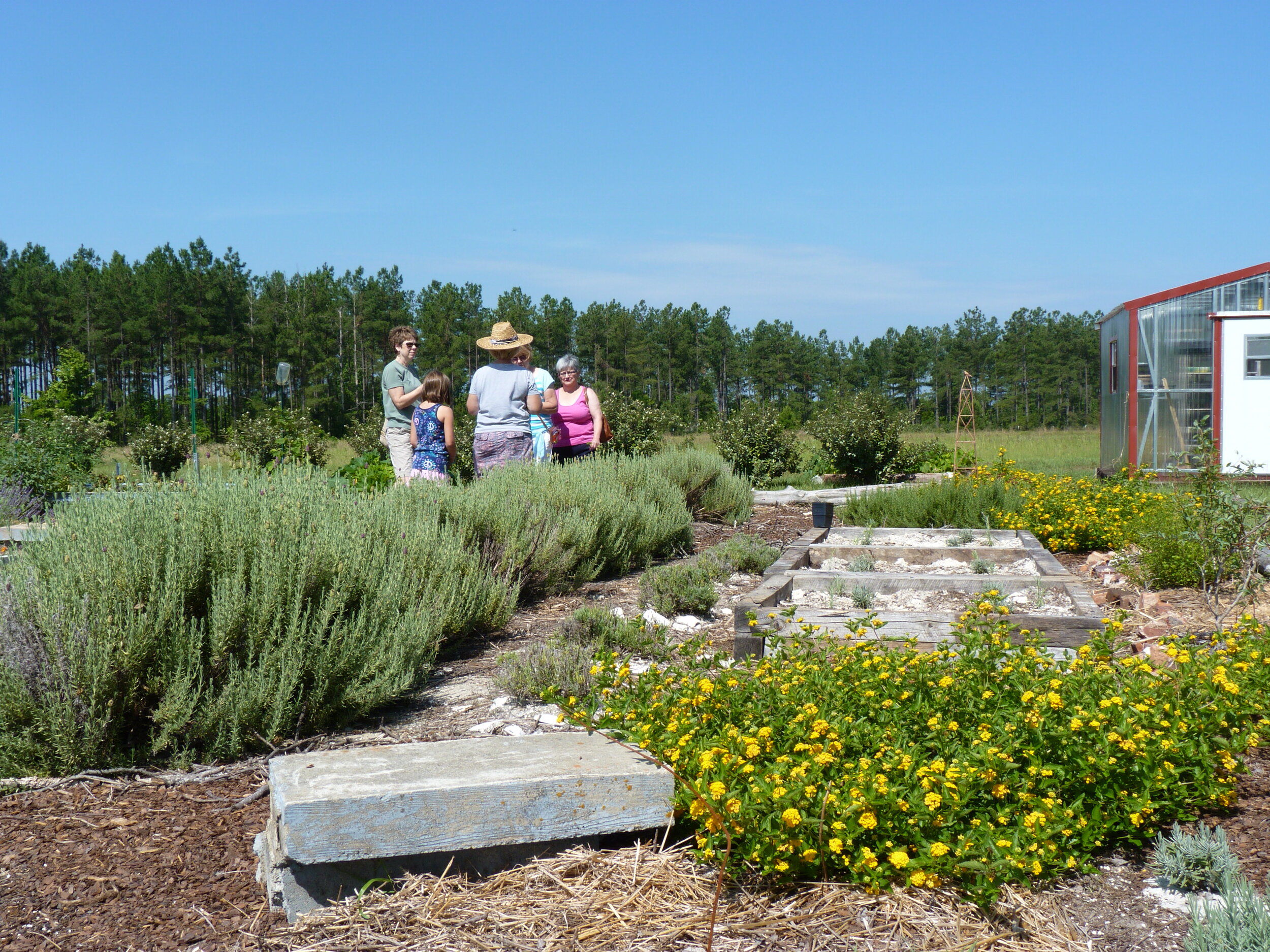 White Hills Farm - Tour.JPG