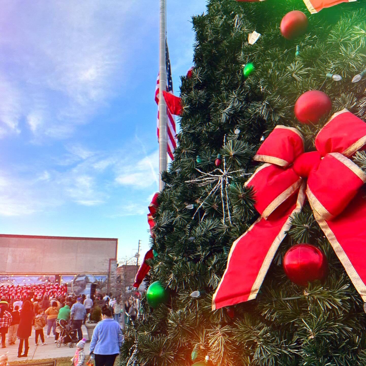 Trim up the tree with Christmas stuff like bingle balls and who-floo fluff! 🎶 🎄