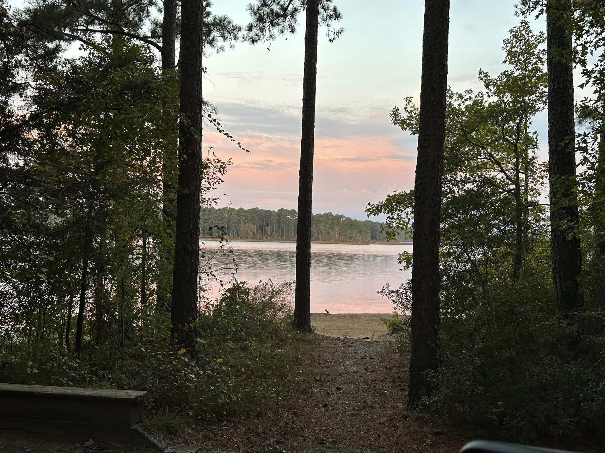 Imagine waking up to this beautiful view in the morning. Book a camp site at Raysville Campground today! Link in bio to book your campsite