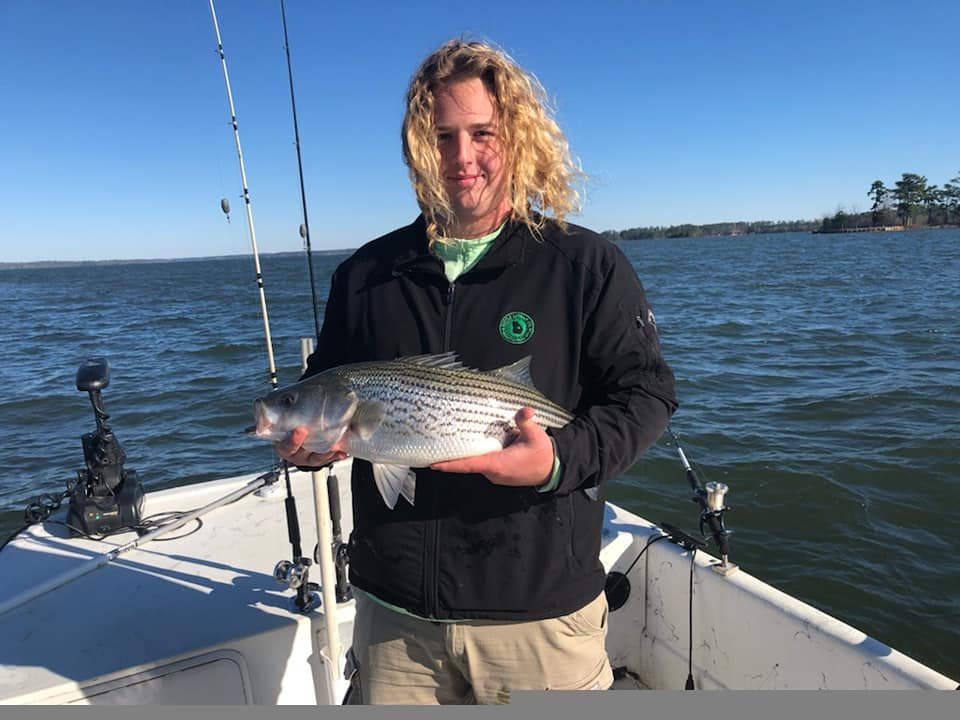 Plan a Camping Getaway to Clarks Hill Lake — Visit Thomson, GA