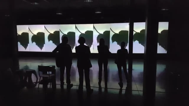 Ogenblik - Excerpts from multi-channel video-installation in CC Herzele Belgium - 2016