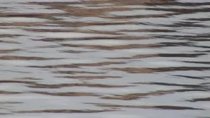 From the eyes of my ship