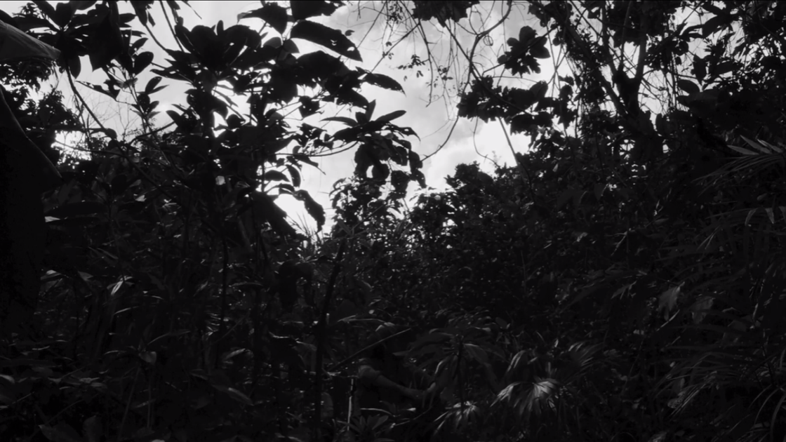 LAV DIAZ Y LA LIBERTAD DE LAS NACIONES POSCOLONIALES