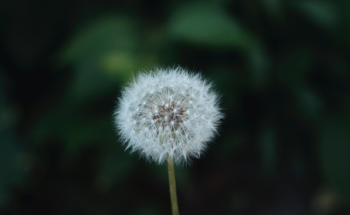 Ohio child tax credit would boost state economy