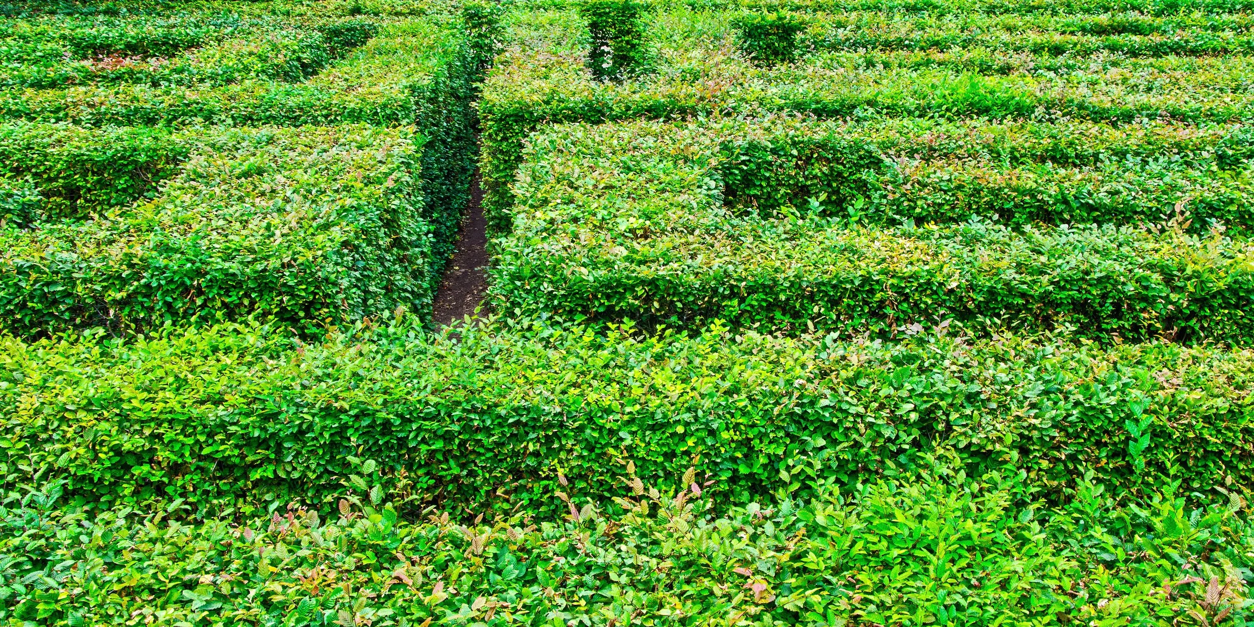 How do you know if your strategic plan is working?