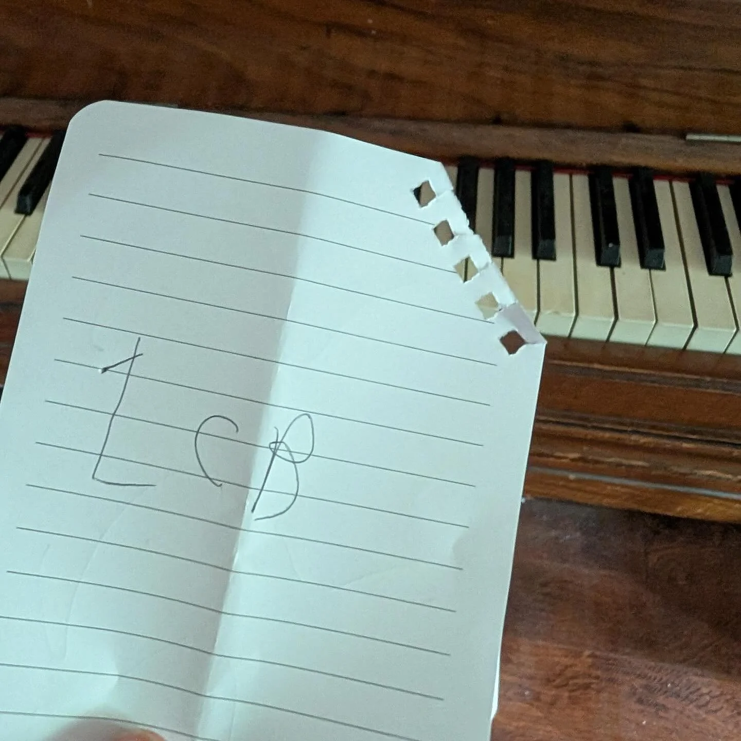 Our concerts are for the whole family!

Clarinet and percussion player Julie Worrall sent us this photo of a &ldquo;concert program&rdquo; her daughter made for a living-room performance at home.

Julie&rsquo;s daughter never misses a show and tells 