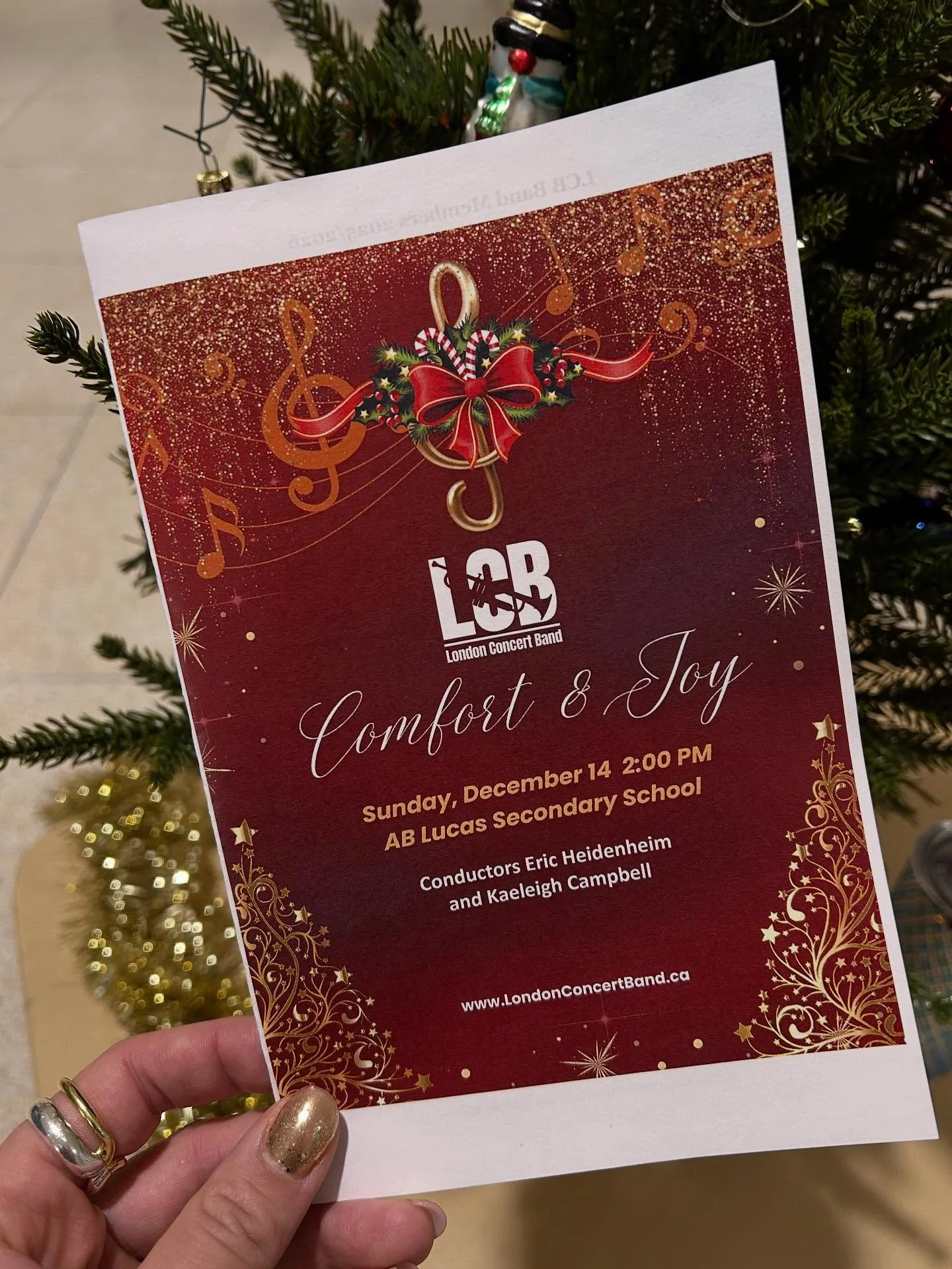 Snowy weather won&rsquo;t stop today&rsquo;s concert. We&rsquo;re ready for you!

If you&rsquo;re heading to A.B. Lucas this afternoon, please allow extra travel time and drive safely.

The front ticket booth will remain open for late arrivals. We&rs