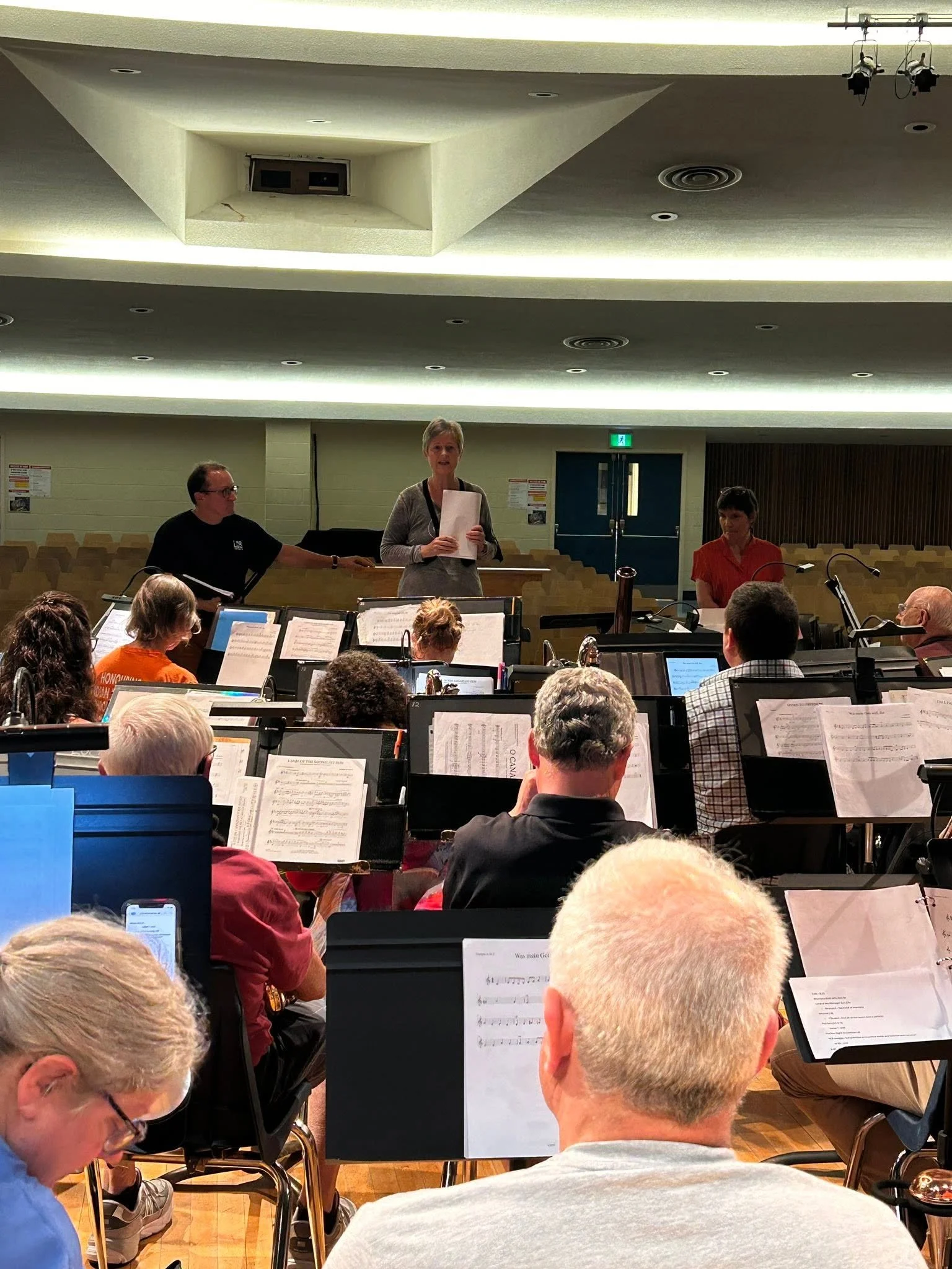 Orchestra rehearsal with musicians and a conductor in a concert hall, viewed from the audience seats.