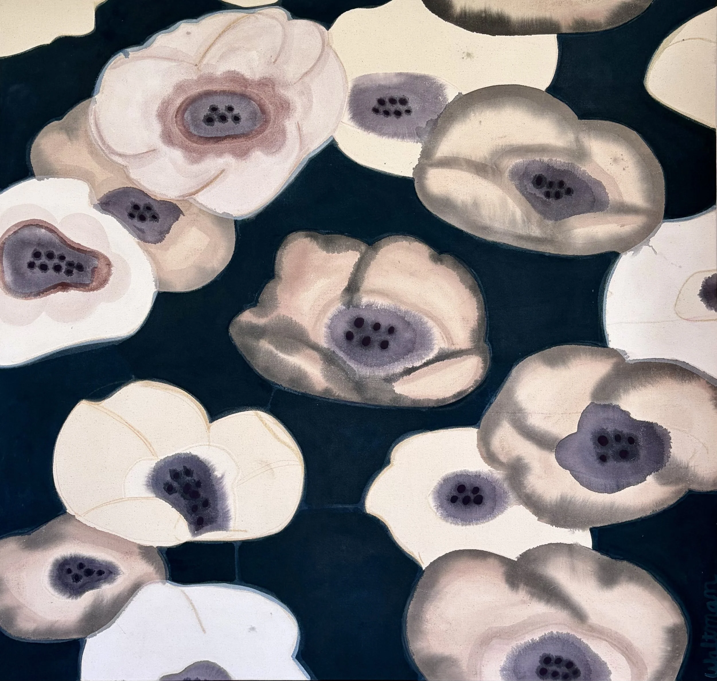 Fragile Night Blooms 