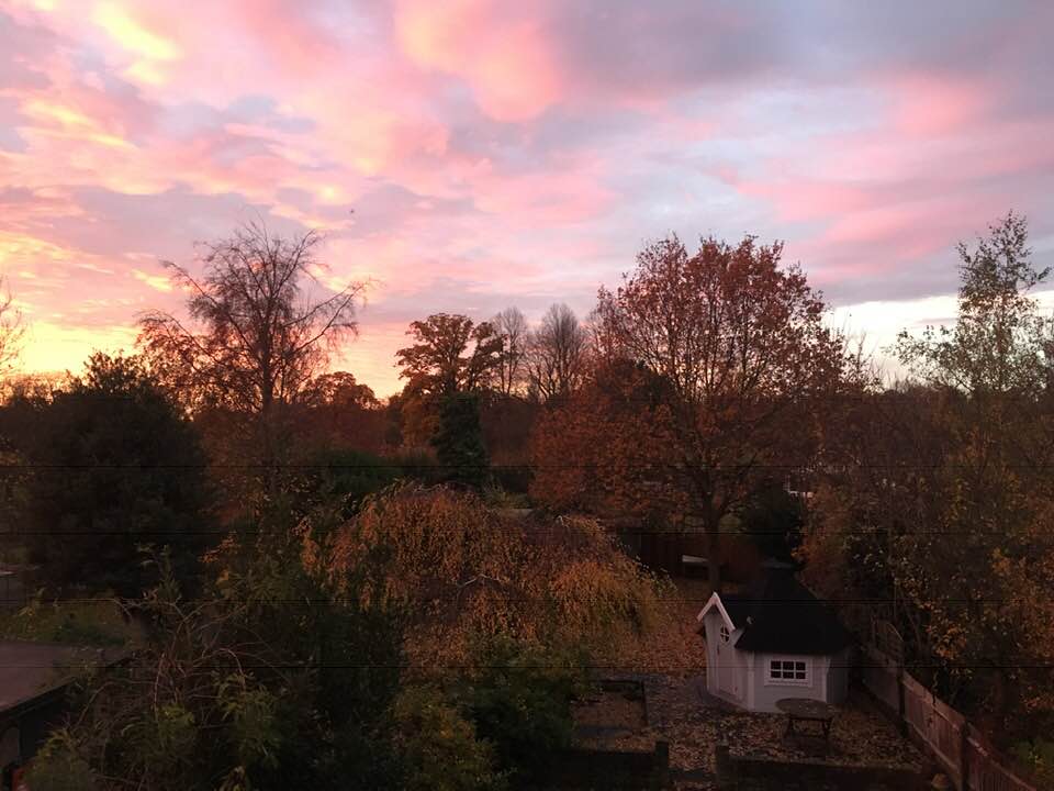 Hypno Sunrise.jpg
