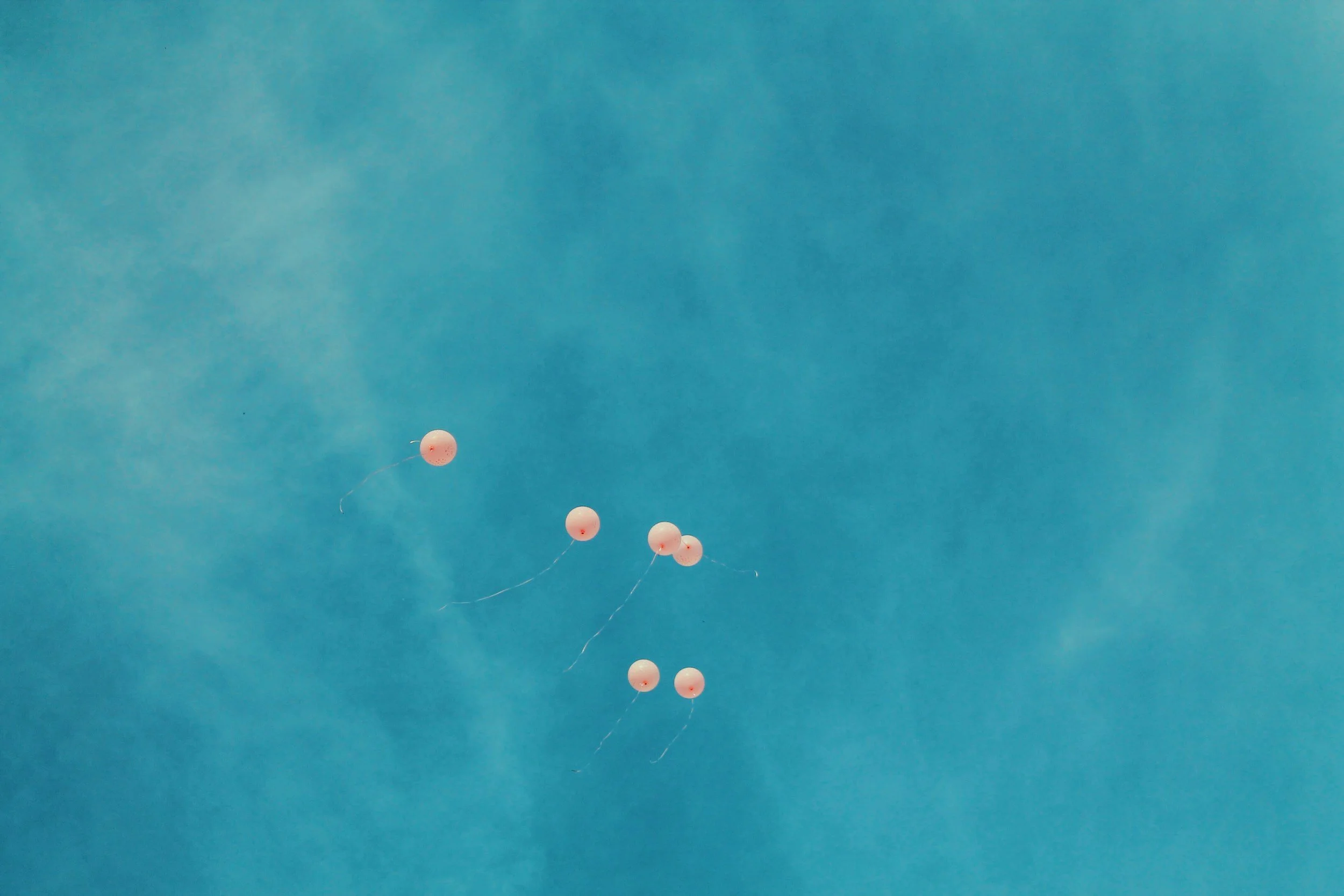 unsplash-image-wK5lmJ_tDoc.jpg