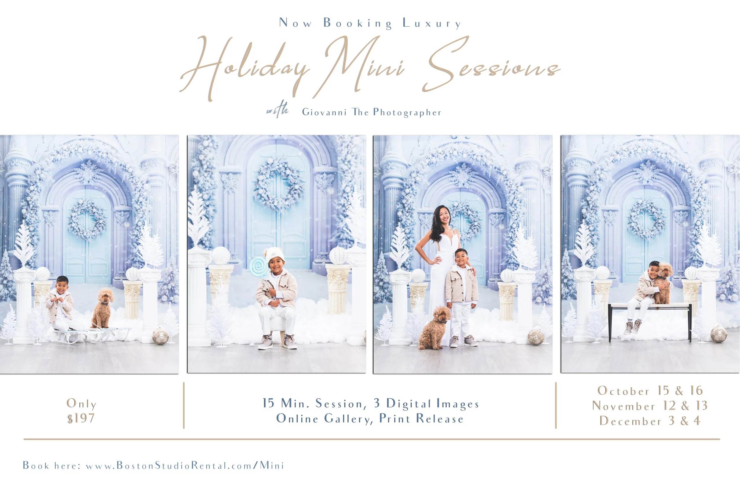 Luxury Holiday Mini Sessions