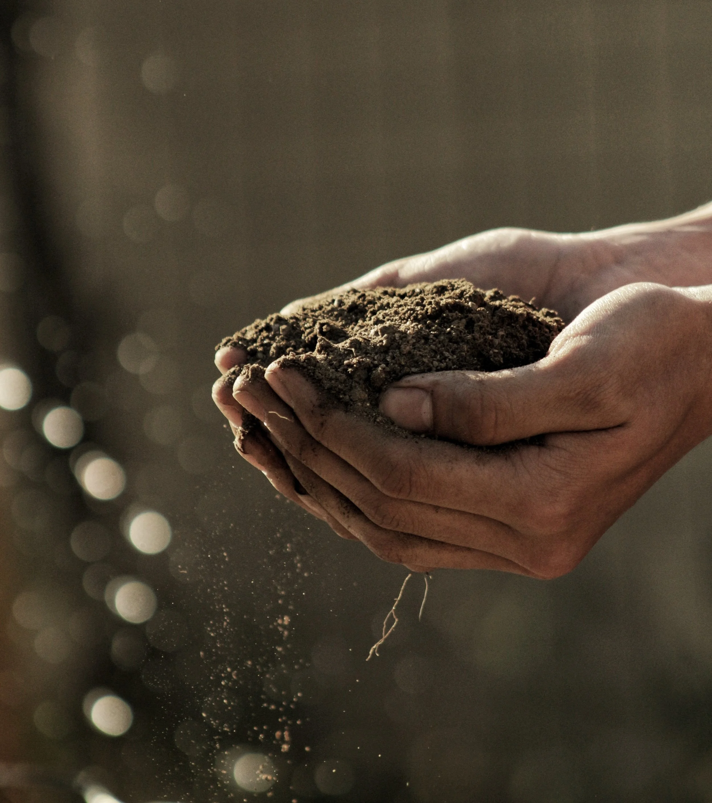 Farm_gabriel-jimenez-241711-unsplash-min.jpg