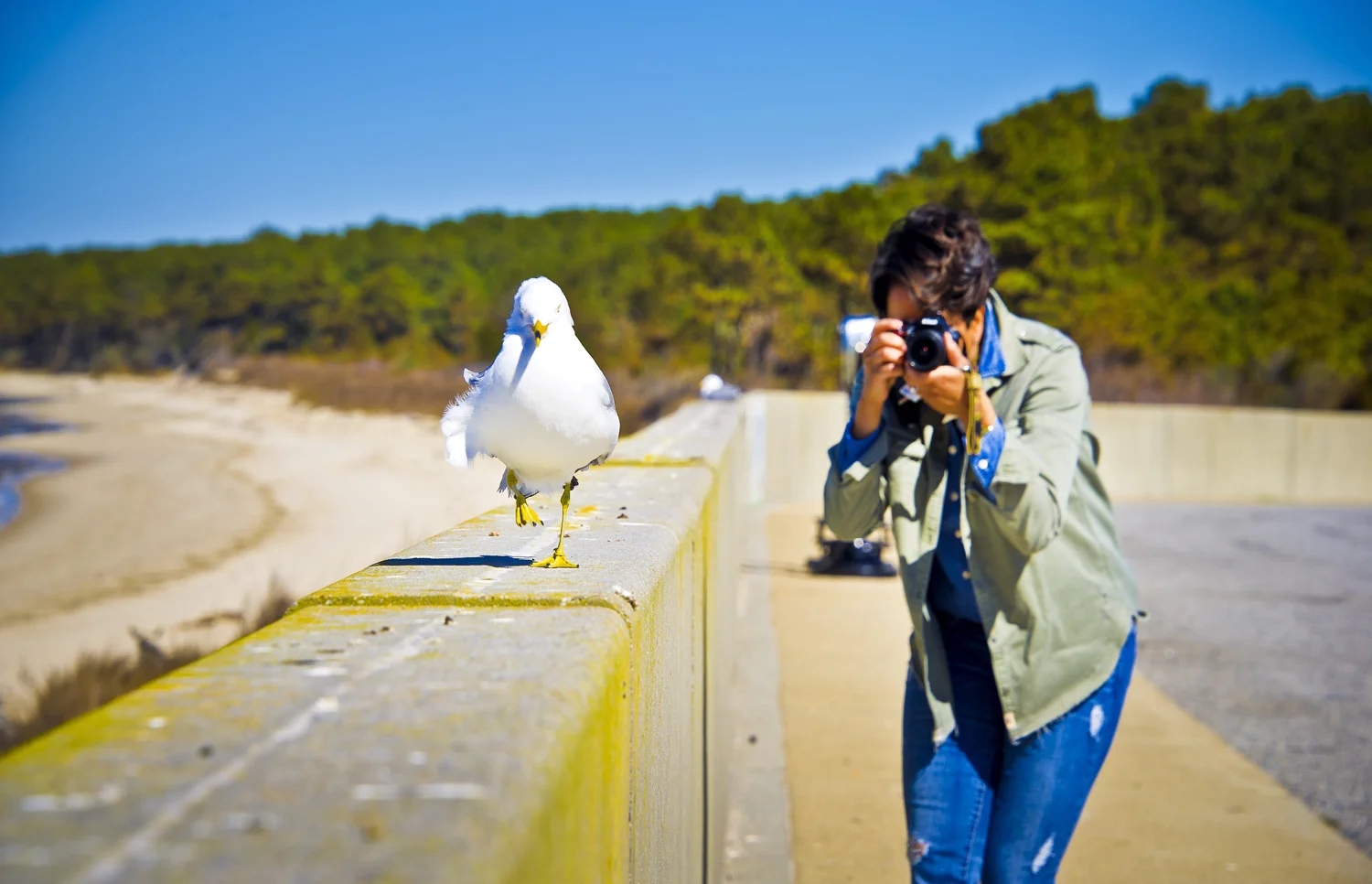 2019.03.19_CHRIS W.H. trot of the solar-bird.jpg