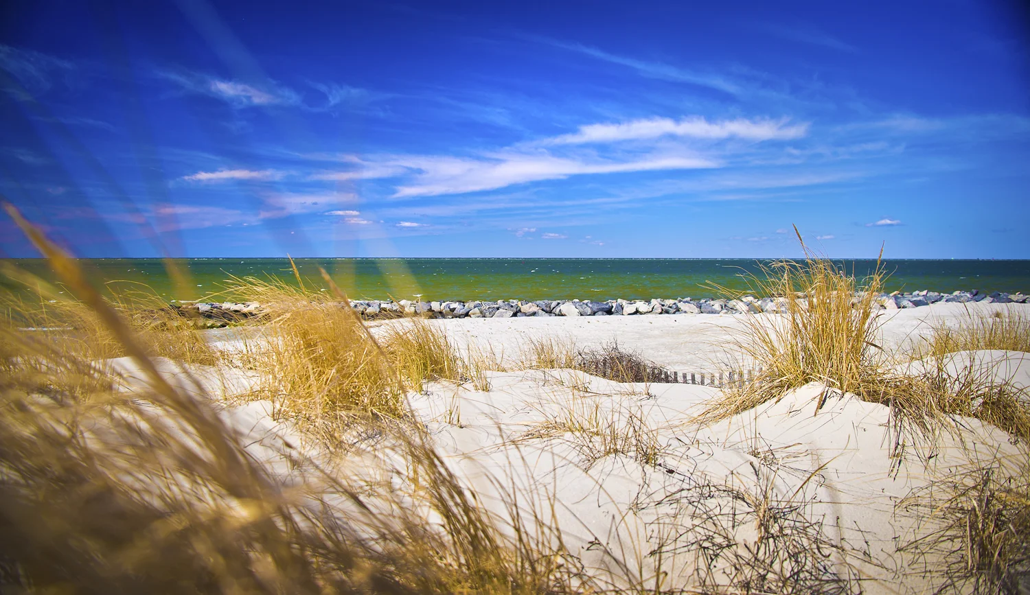 2019.03.19_the terrain of the eastern shore.jpg