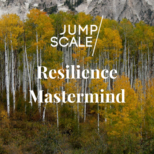 Resilience Mastermind.png