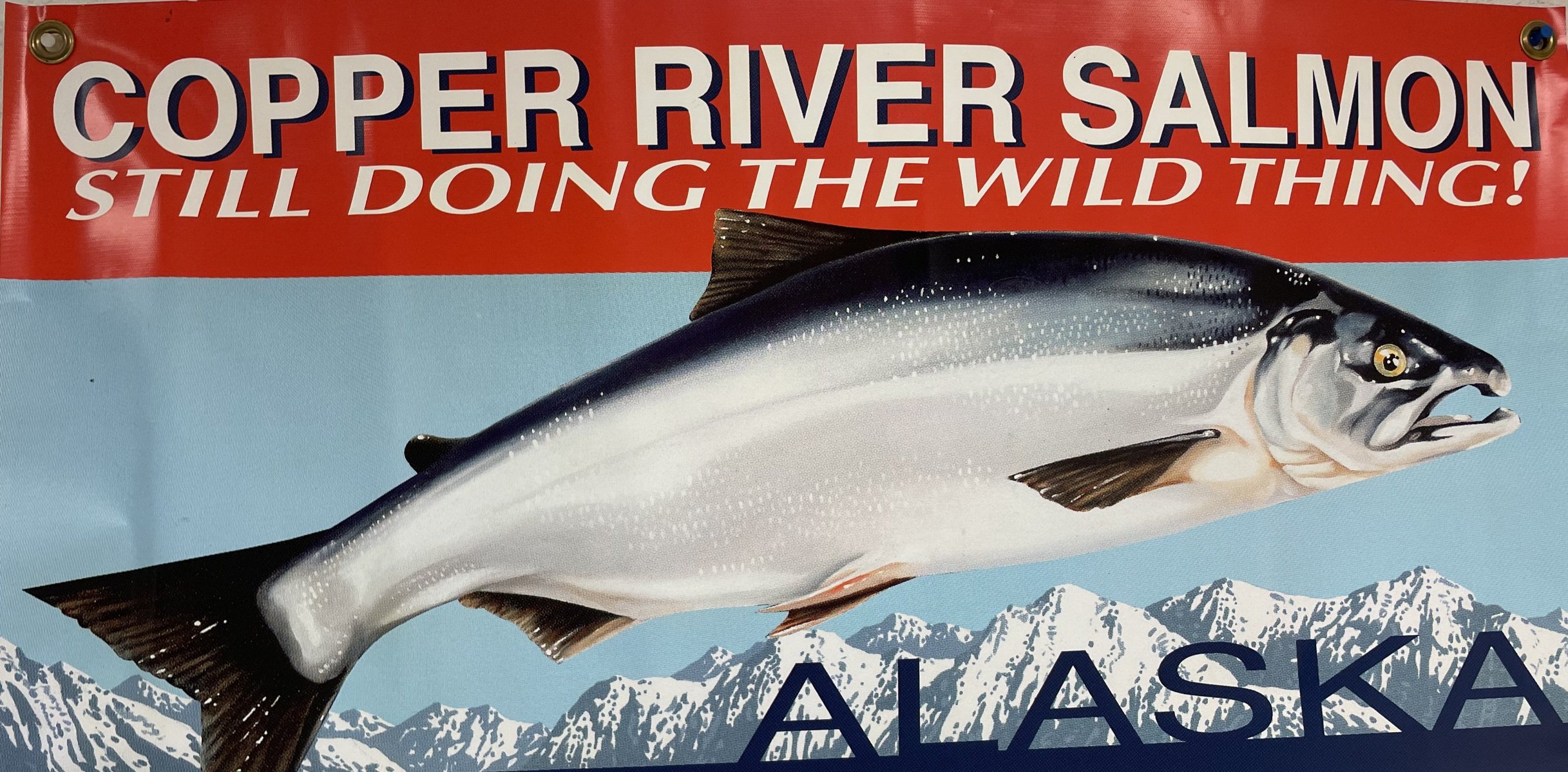 The Cooper River is world famous for amazing salmon!