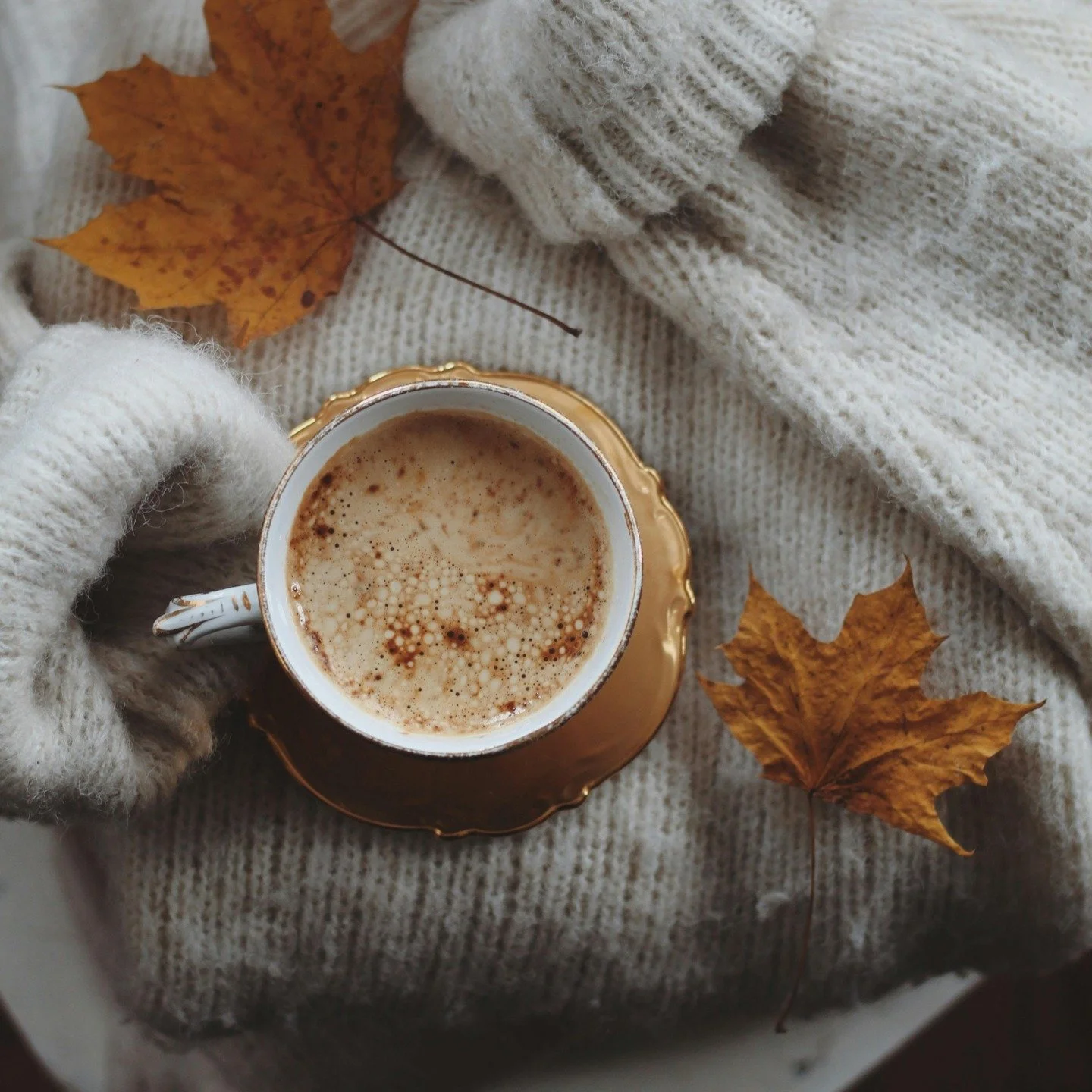 Fall is the season of letting go 🍂 &mdash; not just for the trees, but for us too! 

Here are 4 things you can declutter before the holidays sneak up. Which one will you tackle first?

1. Outdoor Gear &ndash; Broken lawn chairs, rusty garden tools, 