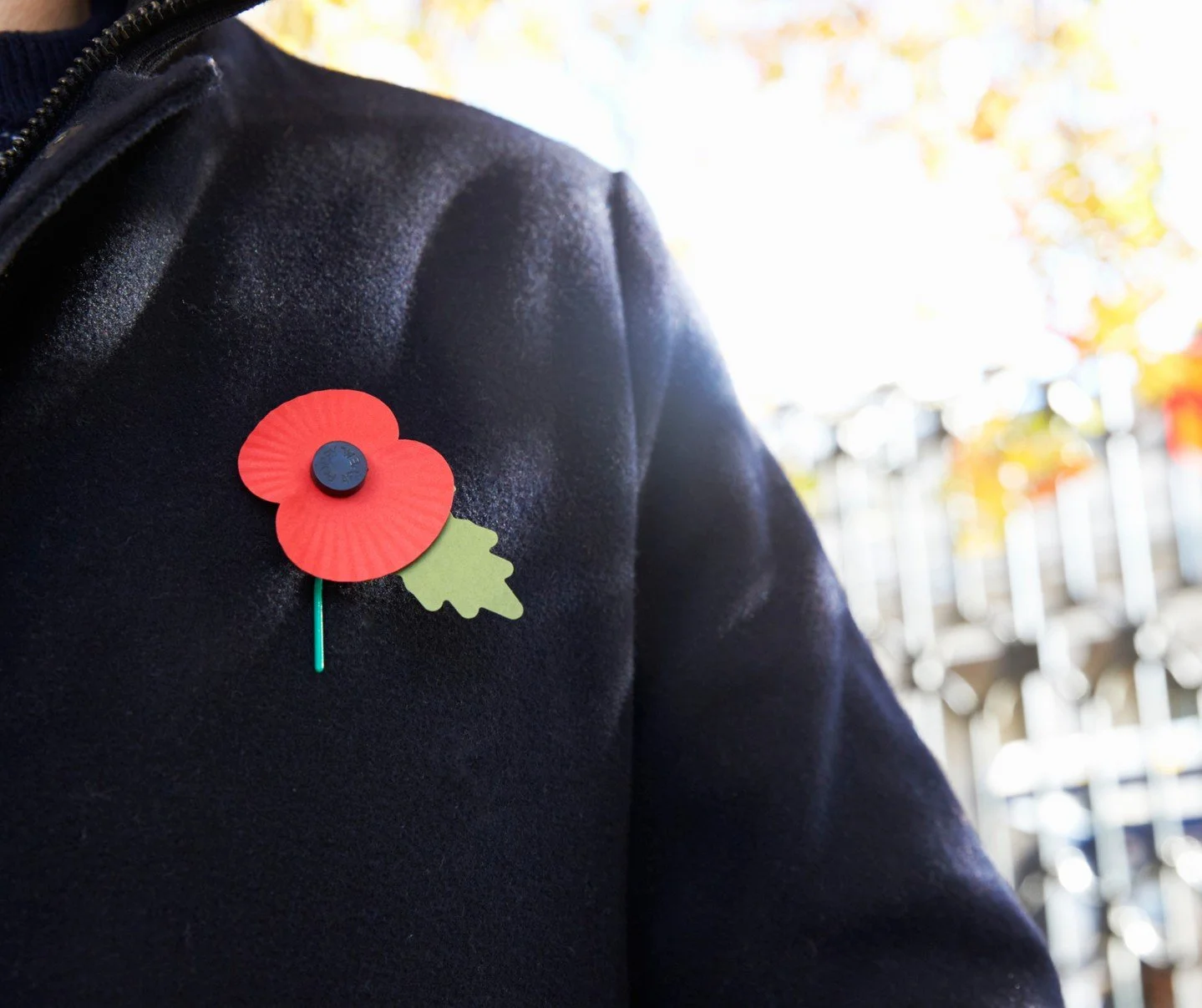 It&rsquo;s that time of year to wear our poppies and remember those who gave us our freedom. 

Every poppy purchased supports Veterans and their families through the Royal Canadian Legion&rsquo;s Poppy Fund.

Let&rsquo;s all do our part, pick up your