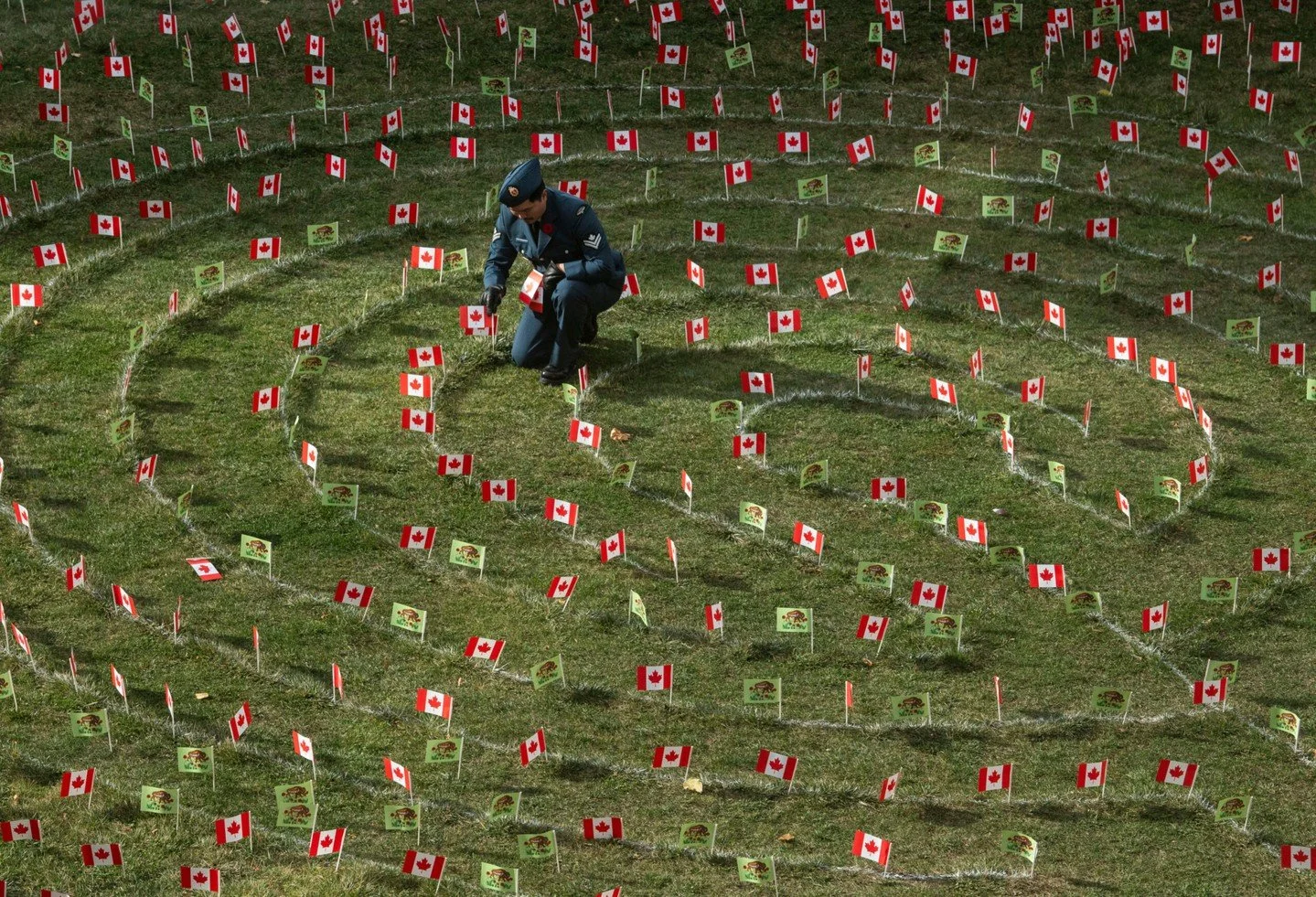 On Remembrance Day, we pause to honour the bravery, sacrifice, and stories of those who served &mdash; and those who still carry their memories close. ❤️ 

Read more on our blog, click the link in our Bio.