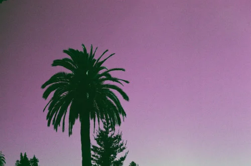 tumblr_n384ymRvRw1r63idqo1_500.jpg