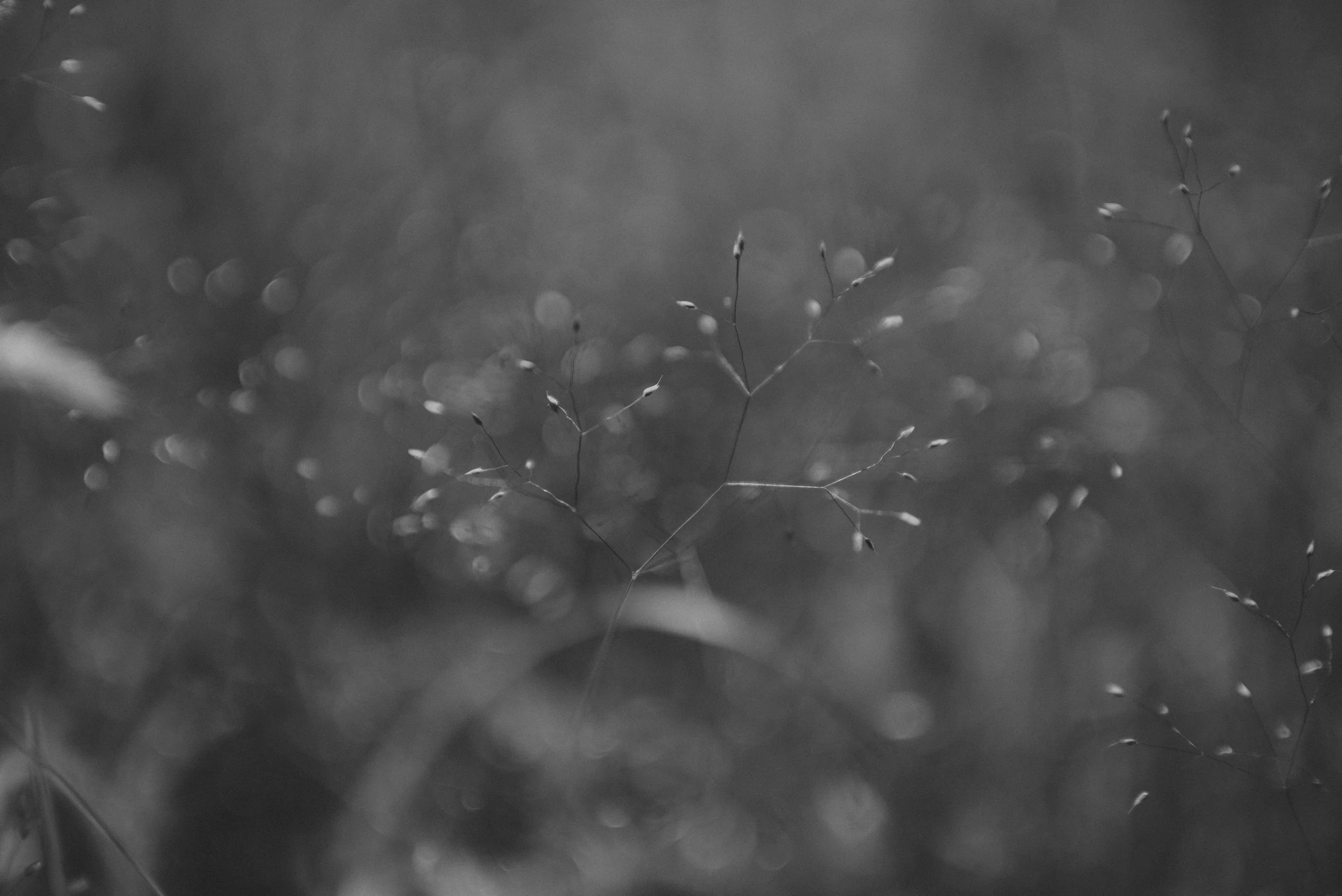 DSC_5392.jpg