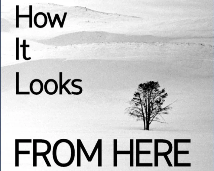 How It Looks From Here Podcast with Susan Bragdon