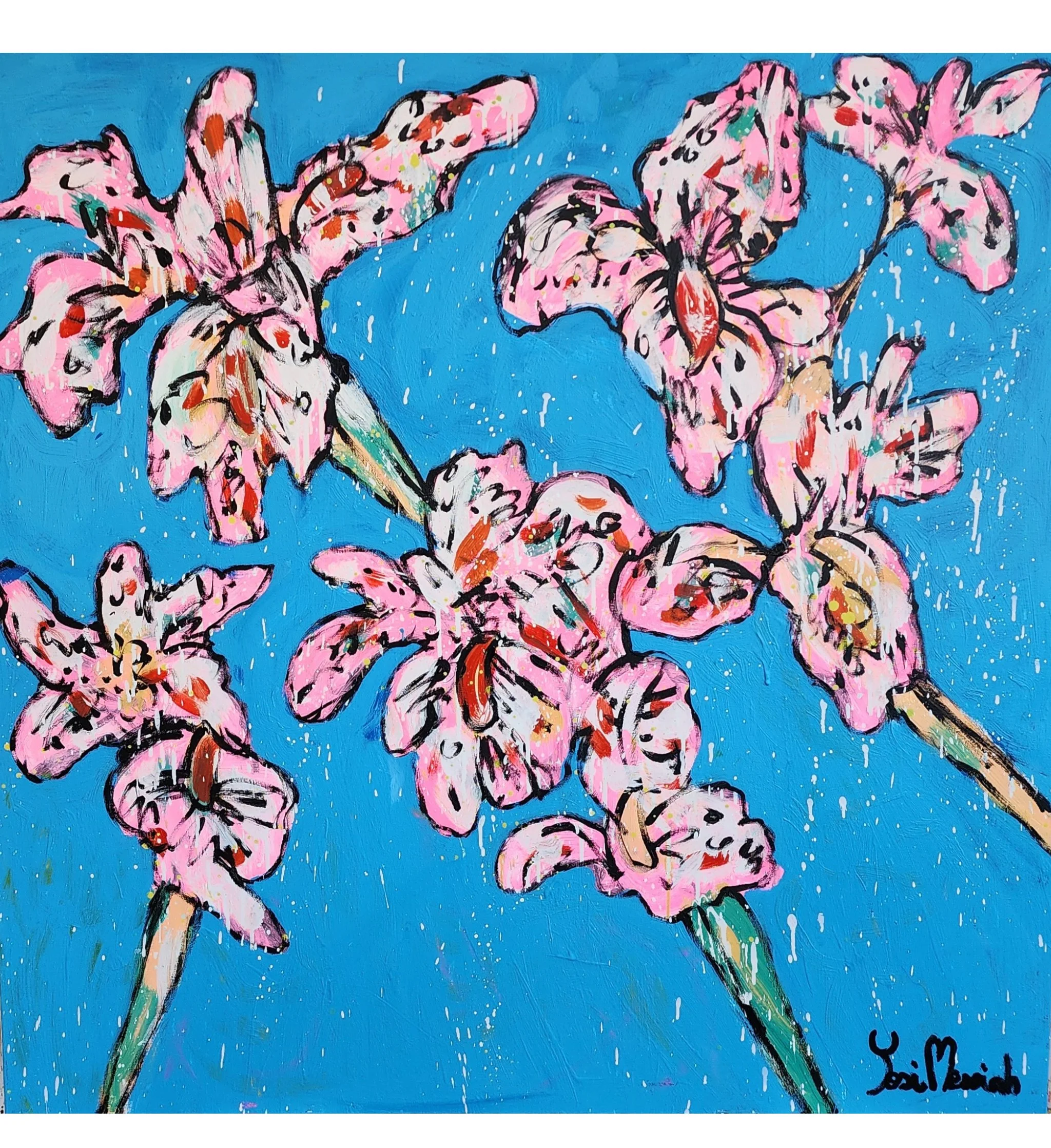 Magical Hot Pink Irises