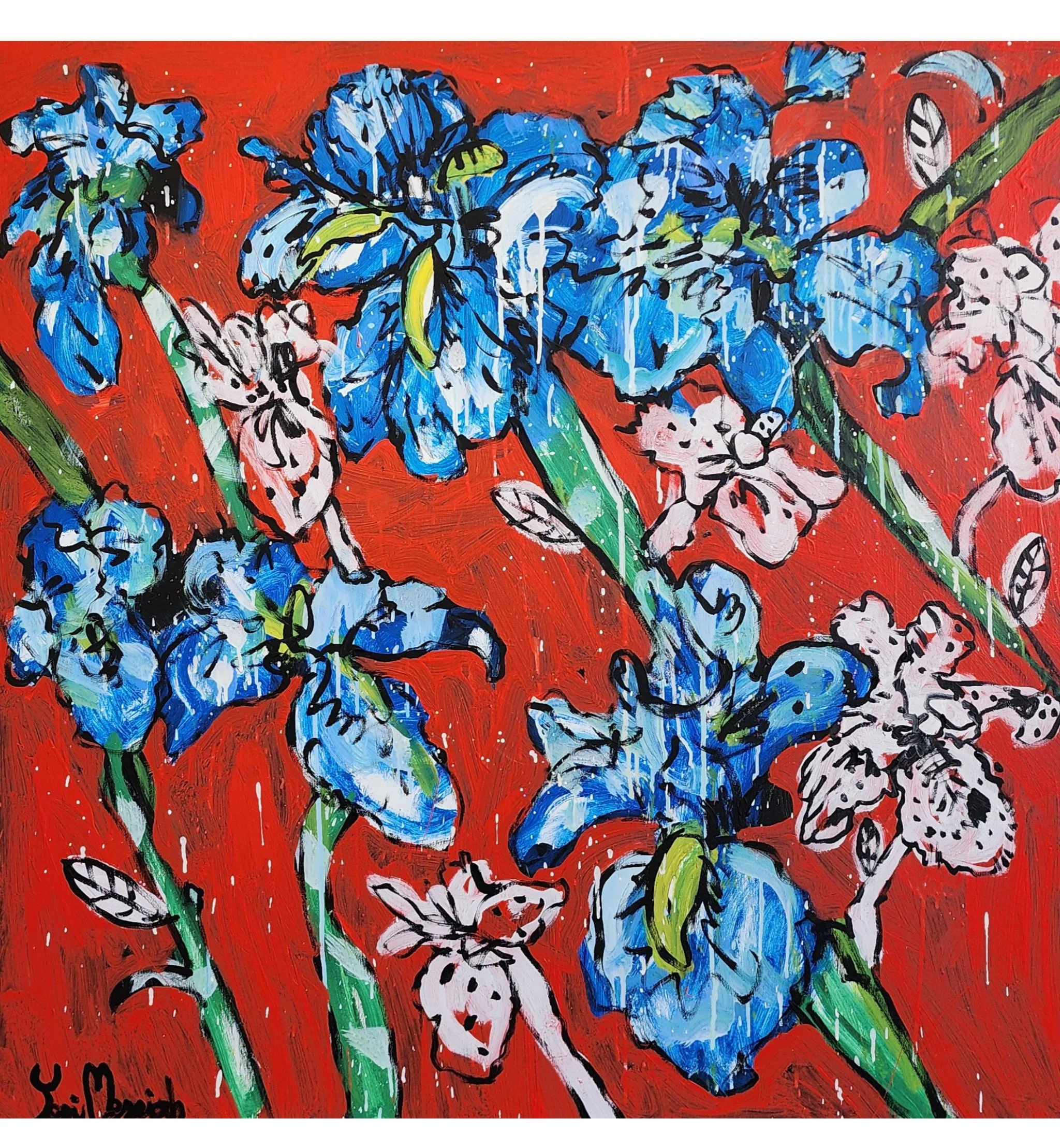 Fire Red Irises Full Bloom