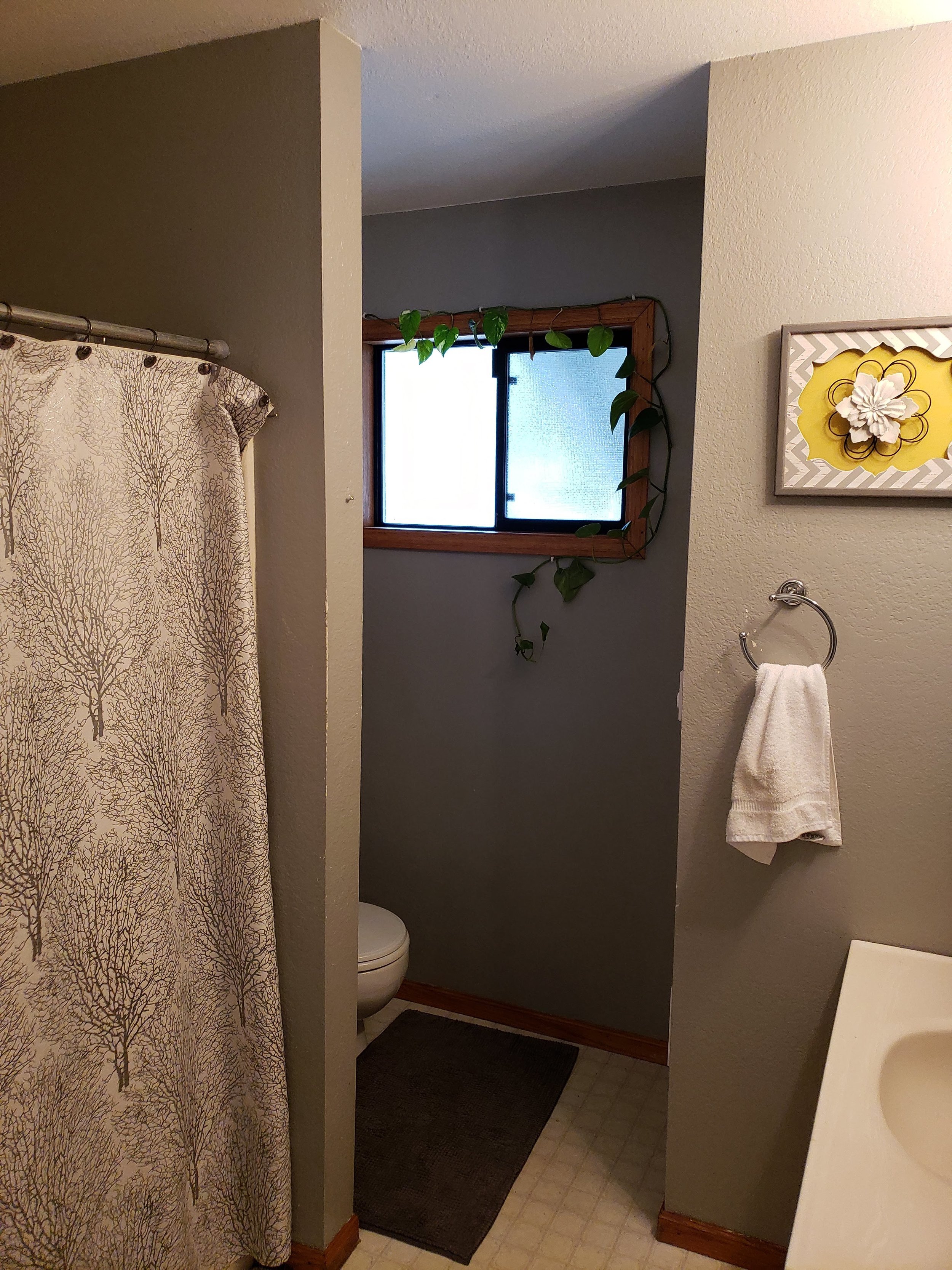 Copy of View of Bathroom Vanity, Shower, and Toilet