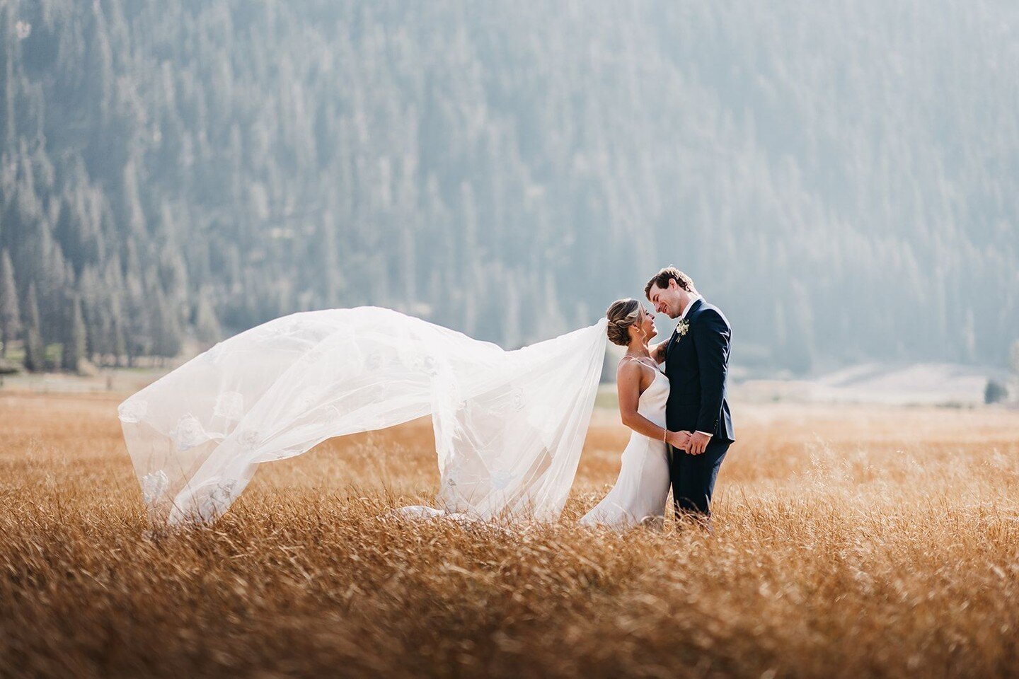 Looking for a venue for your Wedding? Look no further than PlumpJack Inn! Their beautiful resort features stunning mountain views, spacious rooms, and a variety of amenities to make your event perfect. And it's one of our favorite venues to work with