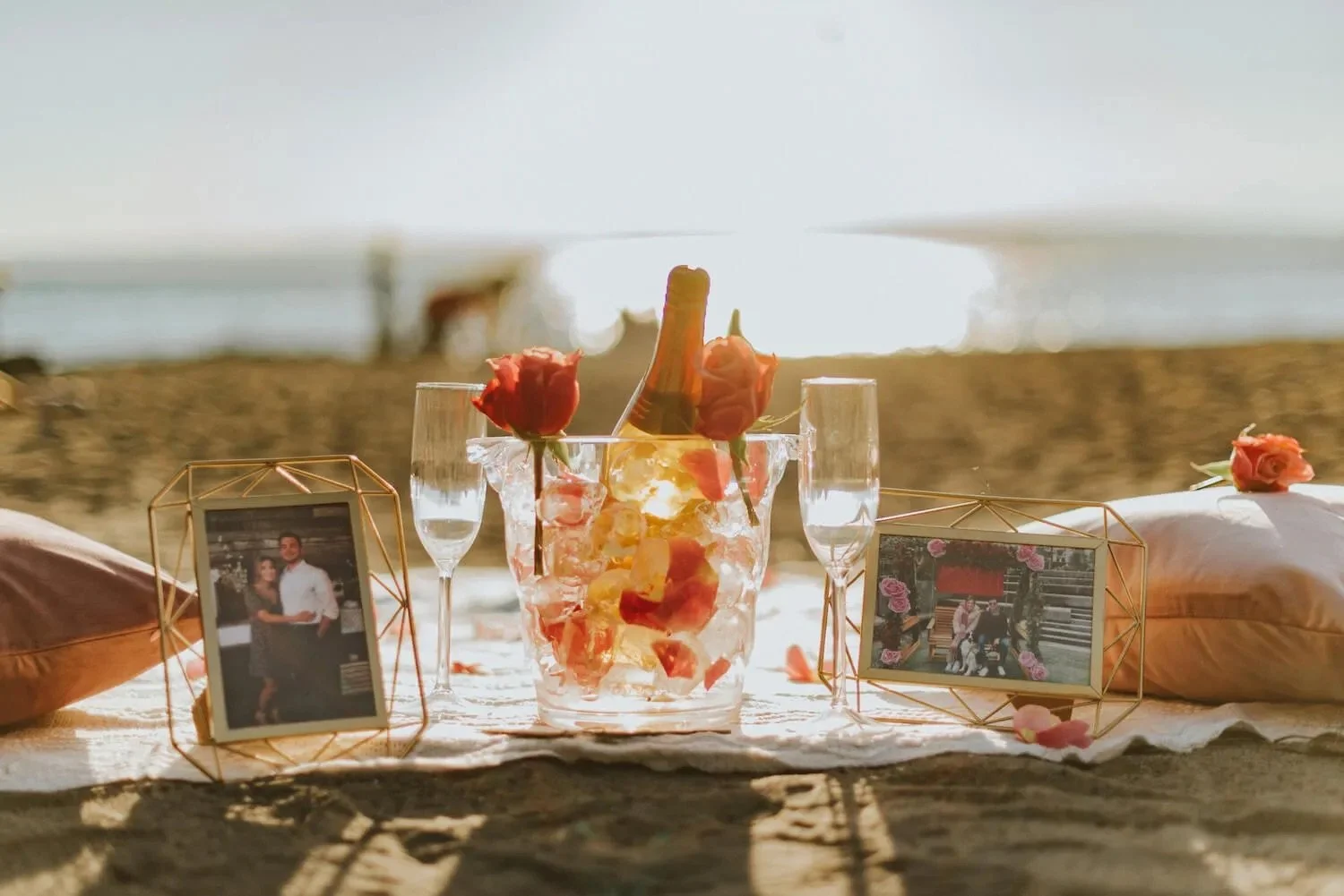 seattle-picnic-proposal-idea-1.jpeg
