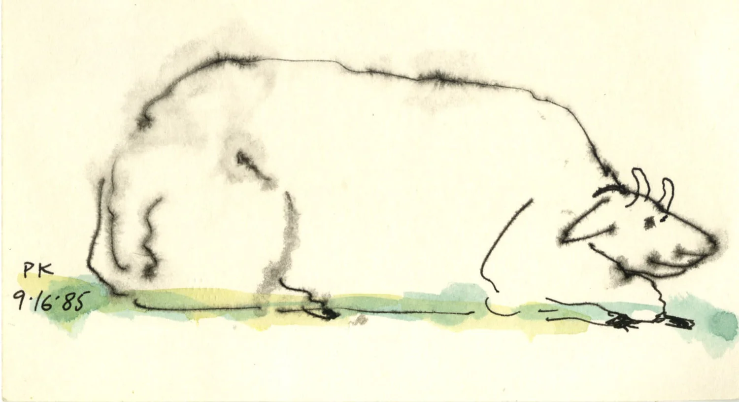 Sheep3.jpg