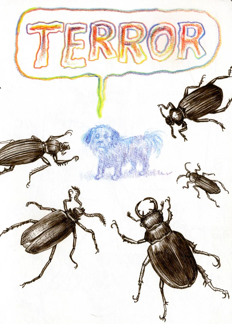 Animals #12