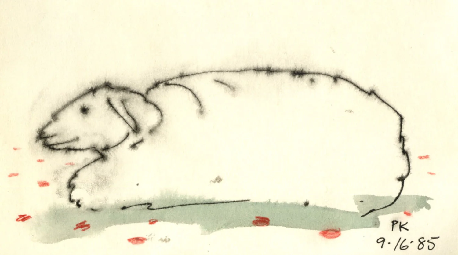 Animals #15