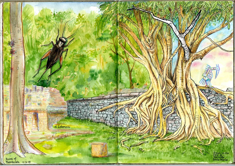 "Yaxchilan" Giclée Print