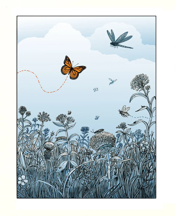 "Ruins" Monarch Print #1