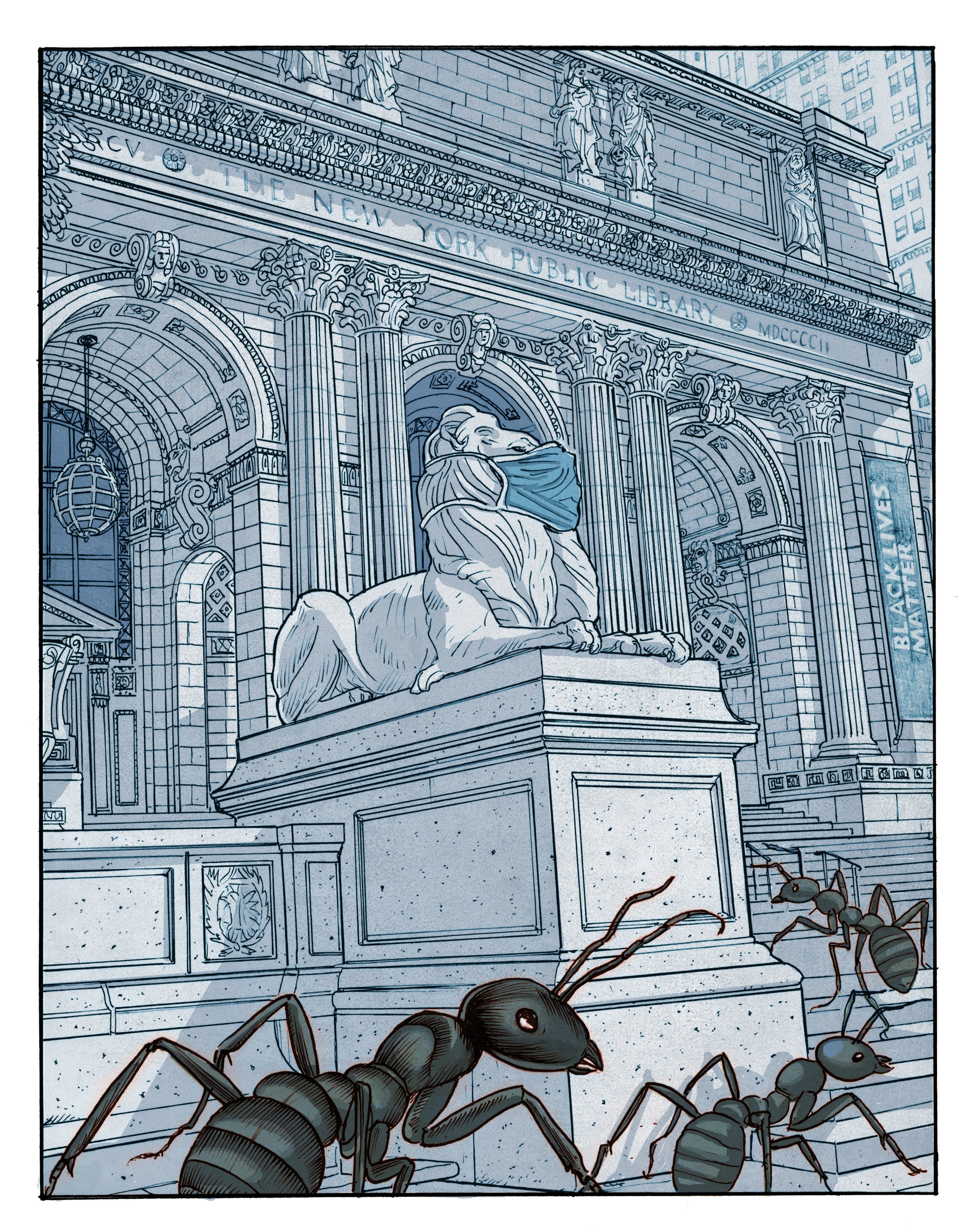 Ant Library.jpg