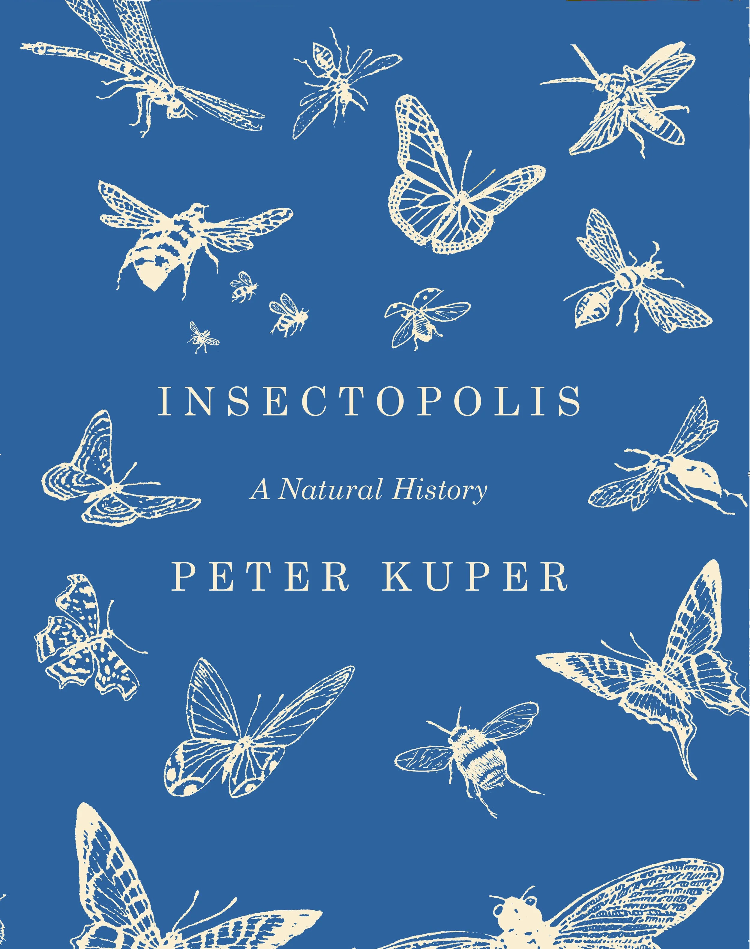 Insectopolis_cover board.jpg