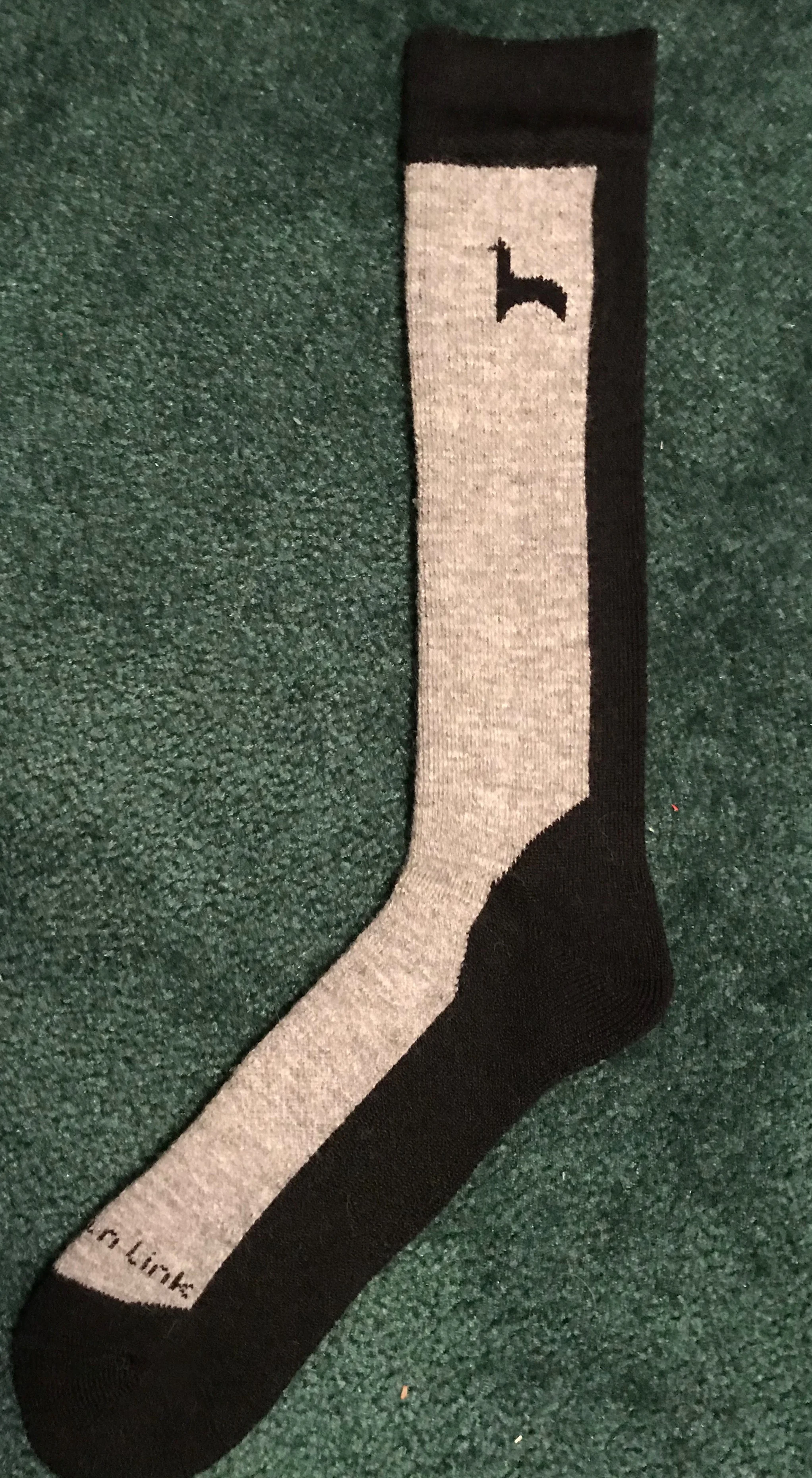 gray-black hiker.JPG