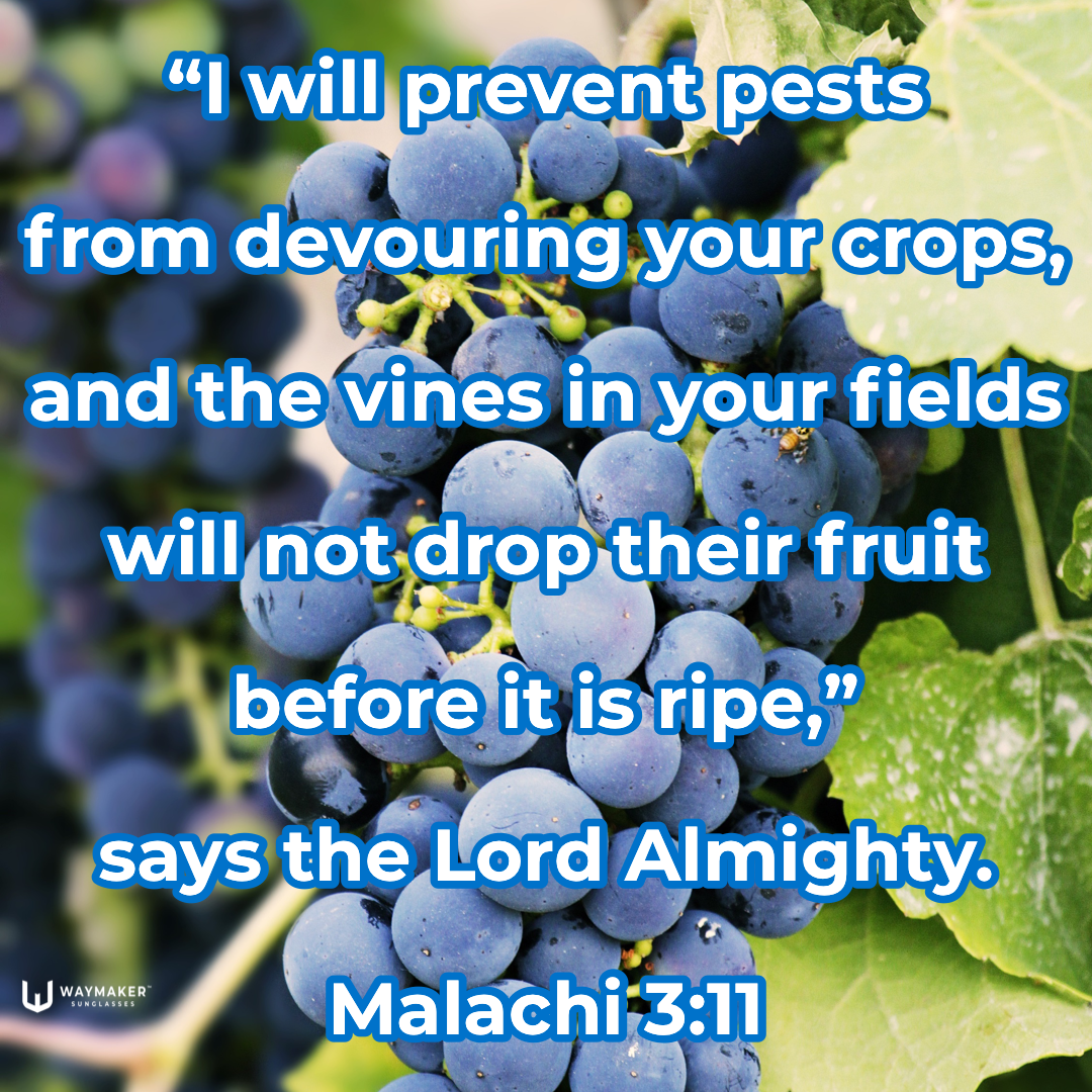 C5B57FA3-E20C-463B-978F-16F3D05F2427.png