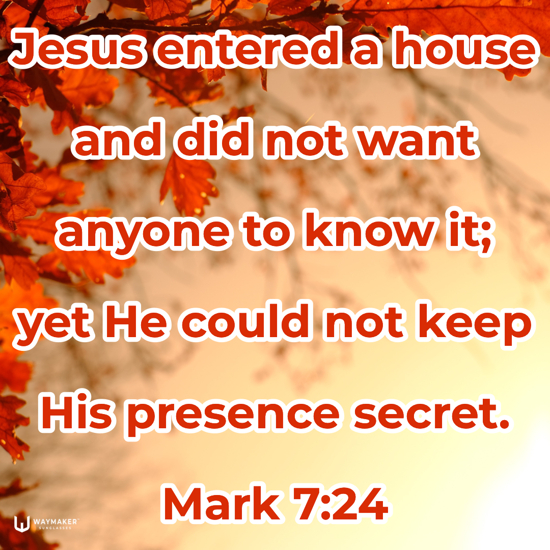 297F14B1-226C-4BE5-9612-7E084A7FF71C.png