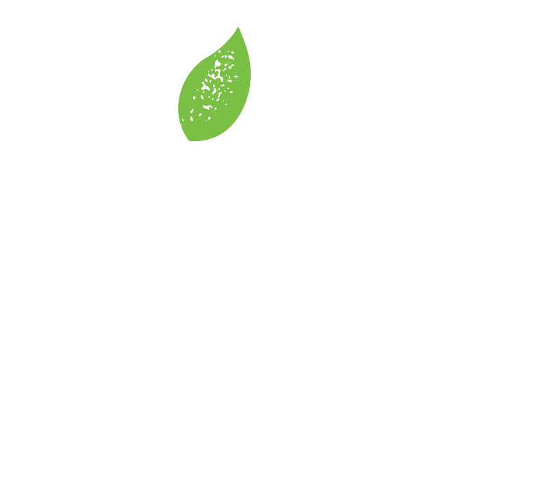 Rise Capital Campaign