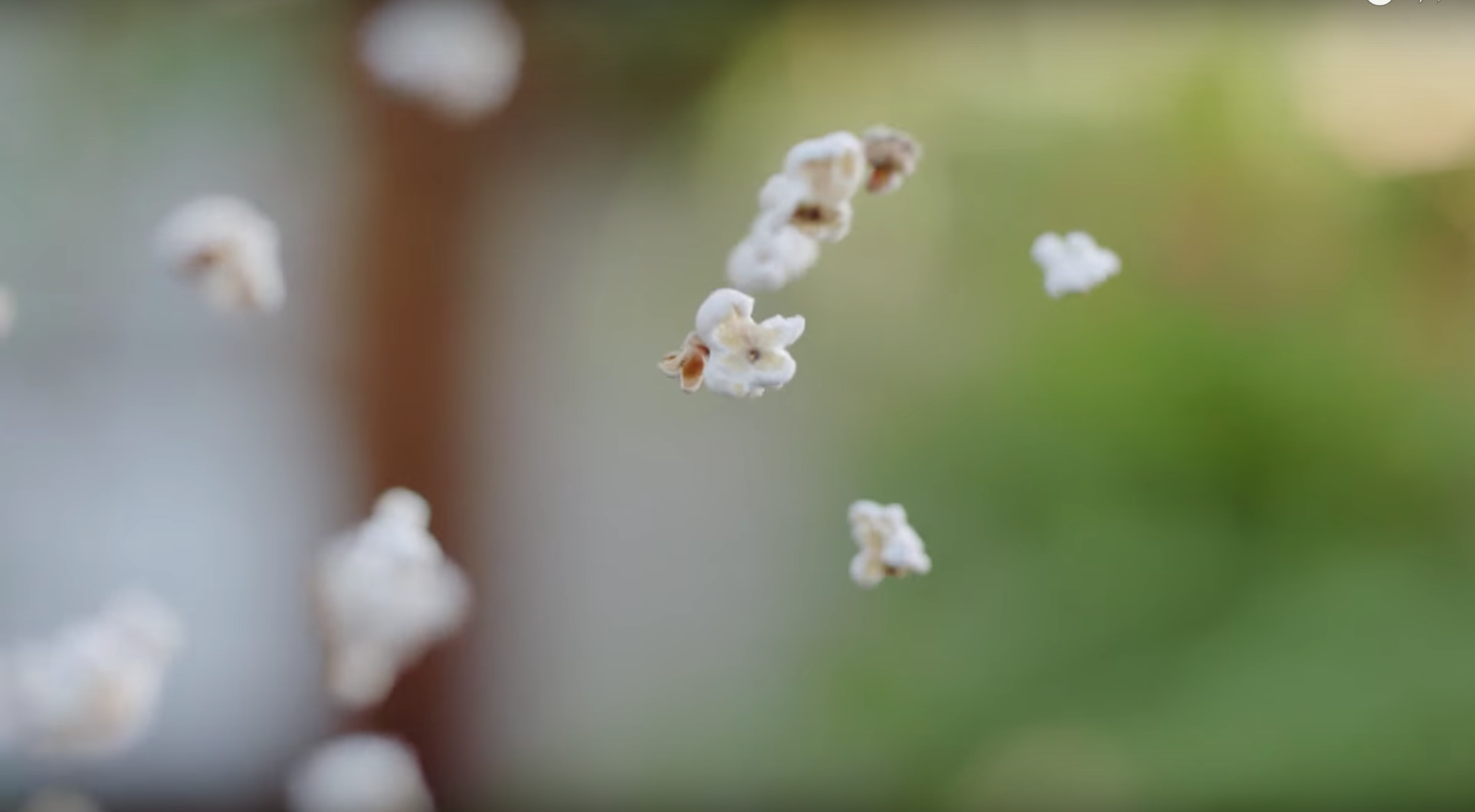 Screen Shot 2018-11-01 at 8.09.05 PM.png