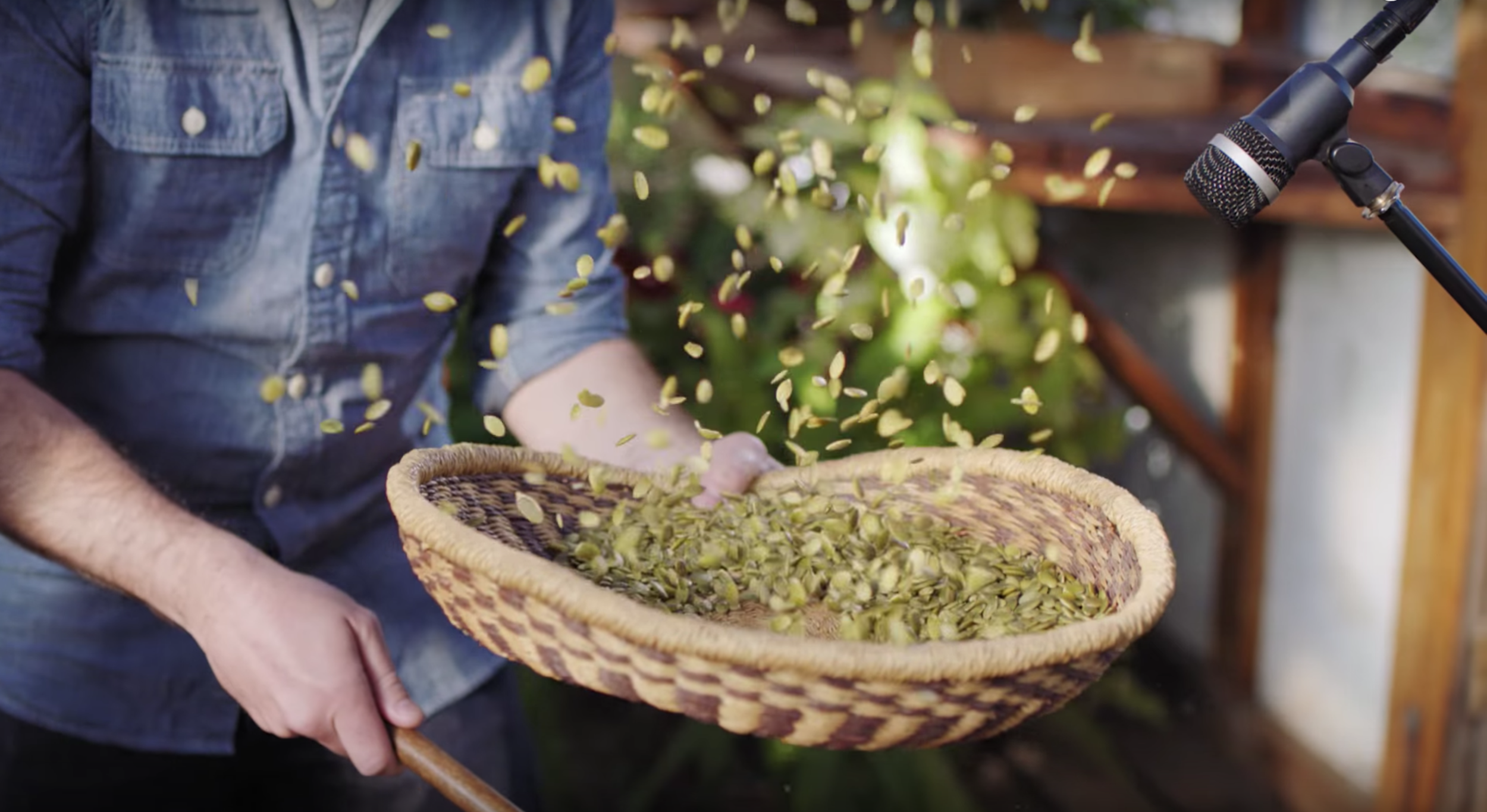 Screen Shot 2018-11-01 at 8.09.26 PM.png